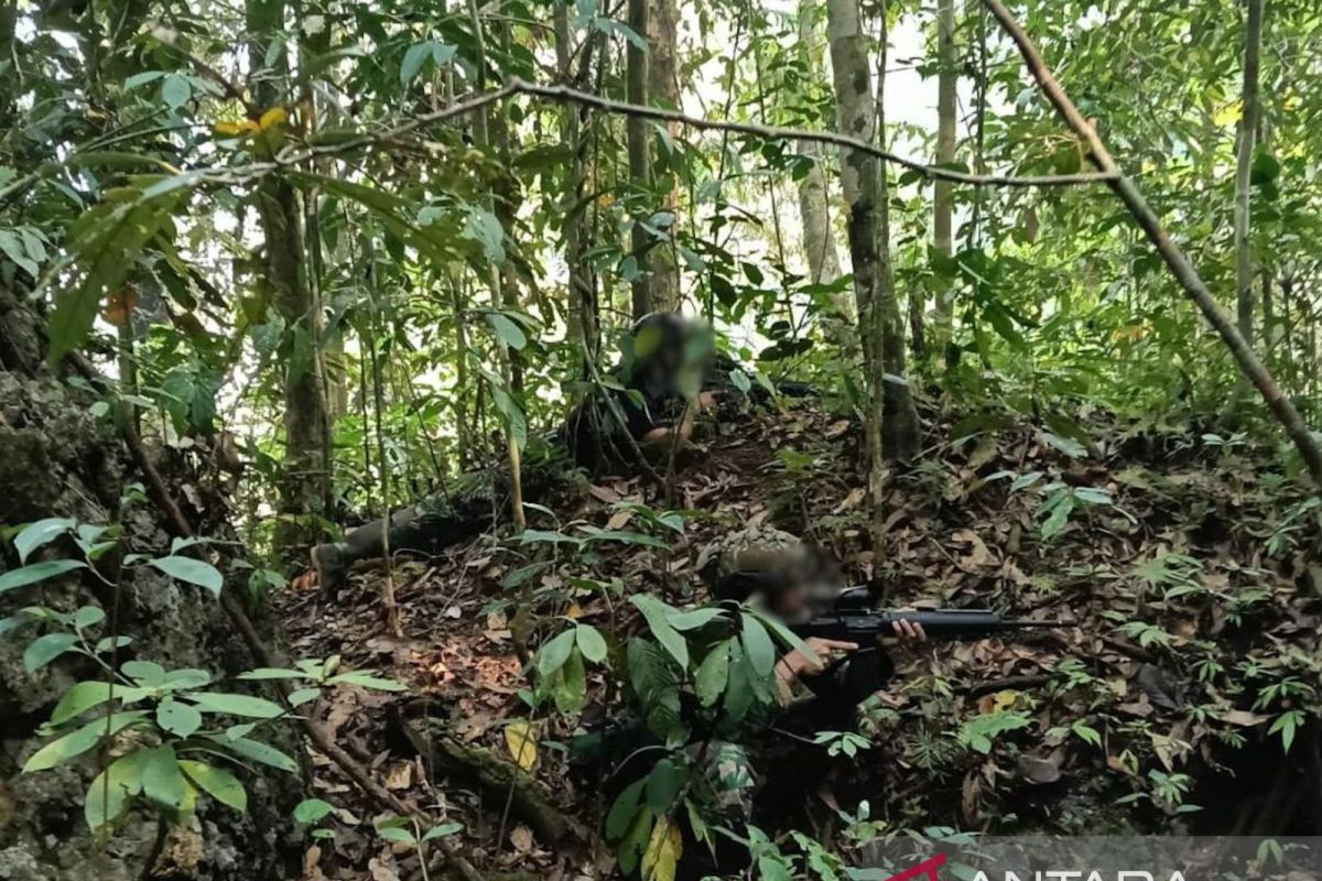 A soldier lies prone behind undergrowth in the forest of Southwest Papua