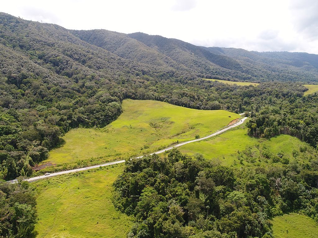 Hamparan lembah hijau dikelilingi perbukitan dan hutan di wilayah Papua Barat Daya